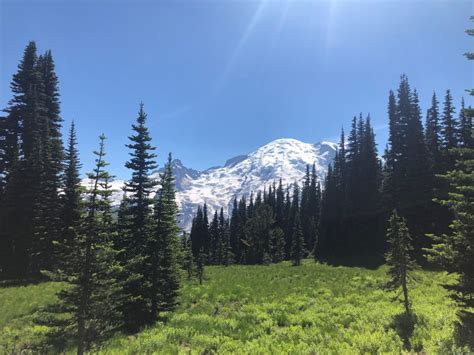 Mount Rainier Summer Hiking: Photo Gallery - Camper Outpost