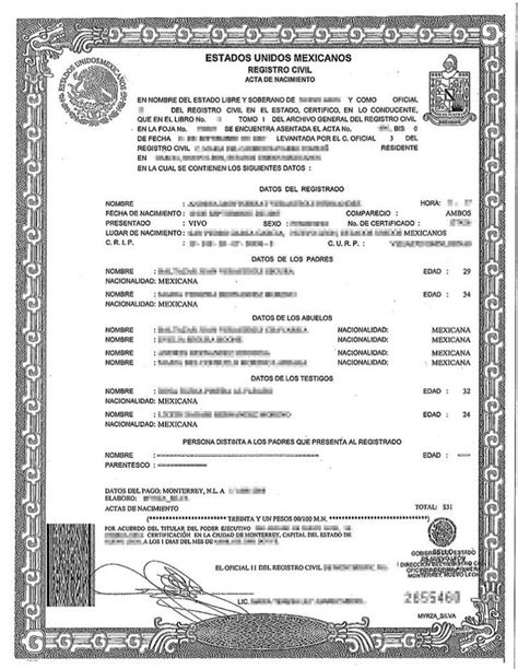 Birth Certificate Translation Template Uscis