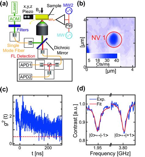 Odmr Experiment To Identify A Nv Center A Diagram Of The