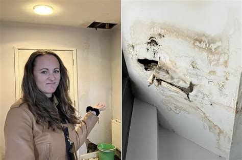 Landlord Mortified After Snaps Of Couple Having Sex On Pool Table Are Leaked Online Daily Star