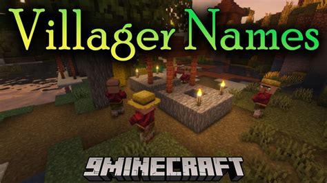 Villager Names Mod (1.19, 1.18.2) – The Villagers Deserve A Name in ...