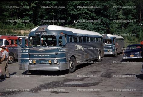 P 4705 Greyhound Bus Silverside 1950s Buses Photo