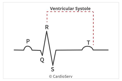 Ventricular Systole Ecg