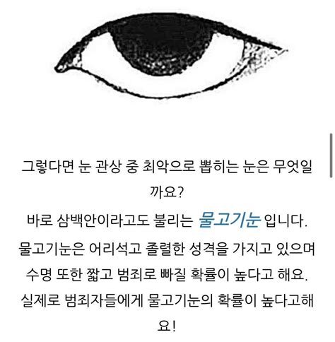 블라인드 블라블라 나이들수록 관상은 과학이다 느낀 점