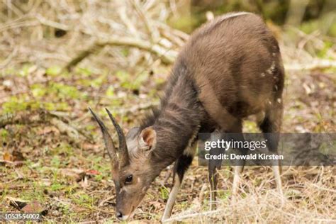 Knysna National Lake Area Photos And Premium High Res Pictures Getty