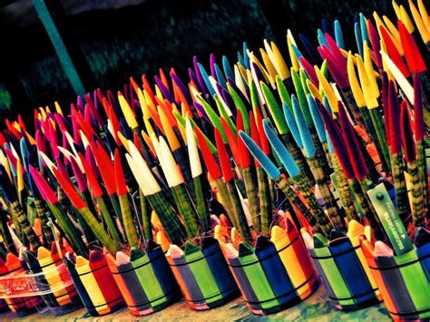 Premium Photo Close Up Of Multi Colored Painted Plants For Sale