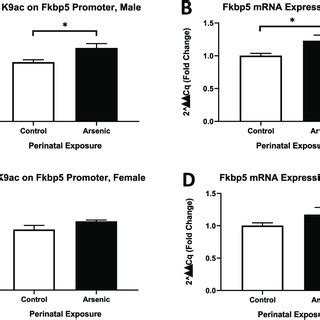 H K Ac Association With And Mrna Expression Of Crh A C