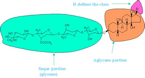 Cardiac Glycosides