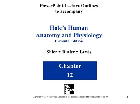 Powerpoint Lecture Outlines To Accompany Holes Human Anatomy And