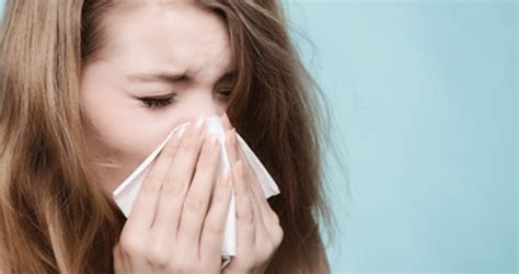 Rhinite allergique symptômes et traitements