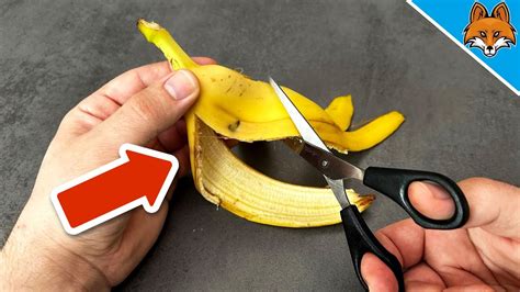 You Will Never Ever Throw Away Banana Peels After Watching This Video🤯💥 Youtube