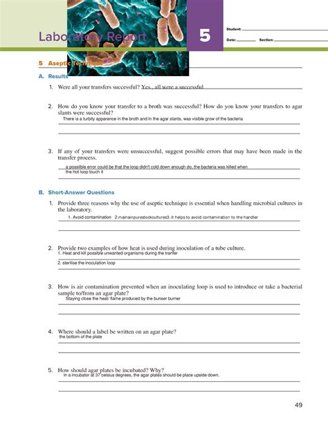 Exercise 05 Lab Report Student Date Section 49 Laboratory Report 5