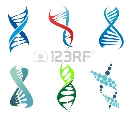 Adn Y S Mbolos Mol Cula Establecen Para La Qu Mica O La Biolog A