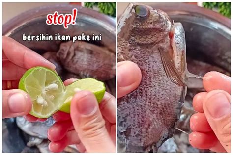 Tak Pakai Jeruk Nipis Ini Cara Mencuci Ikan Agar Bebas Lendir Dan