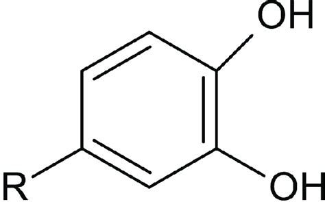 The Aromatic Ring The Number And Position Of OH Groups And The