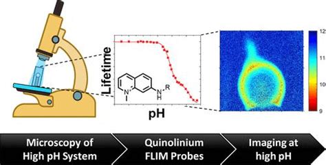 Quinolinium Based Fluorescent Probes For Dynamic Ph Monitoring In Aqueous Media At High Ph Using