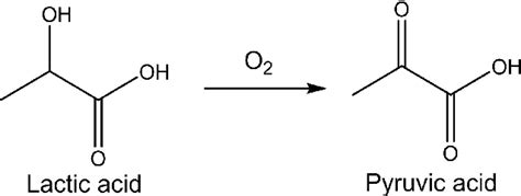 Scheme 4 Oxidation Of Lactic Acid To Pyruvic Acid Download Scientific Diagram