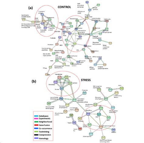 Protein Protein Interaction Network Of Differentially Expressed