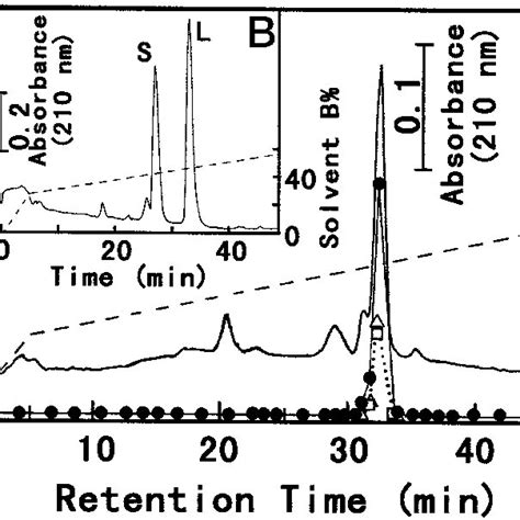 Reverse Phase HPLC Profiles Of Purified PLB LIP On A Cosmosil 5C 8 300