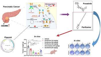 A High Throughput Gaussia Luciferase Reporter Assay For Screening