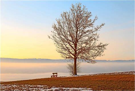 Ein Platz An Der Sonne Galerie Fotografie At