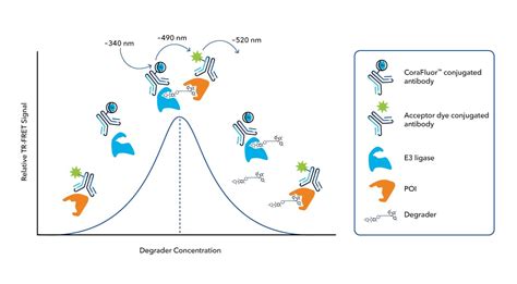 TR FRET And FP Assay Reagents Bio Techne