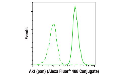 Akt Pan E Rabbit Mab Alexa Fluor Conjugate Cell