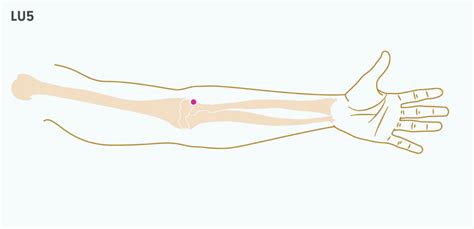 9 Pressure Points for Sinus Issues | Sinusitis, Sinus pressure points ...