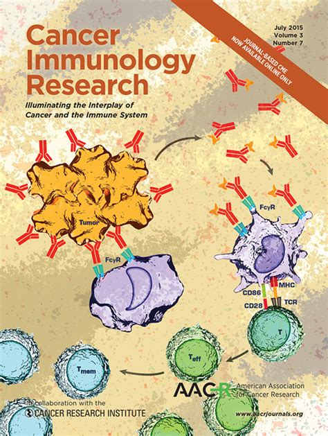 Card9 Promotes Sex Biased Colon Tumors In The Apcmin Mouse Model