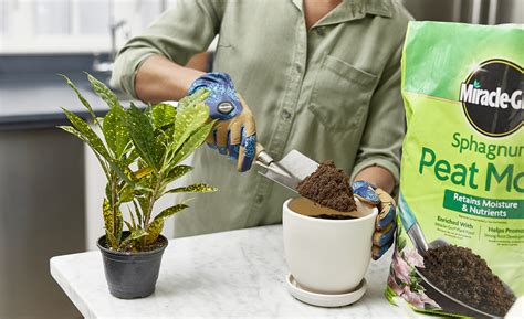 Best Potting Soil for Your Plants (2025)