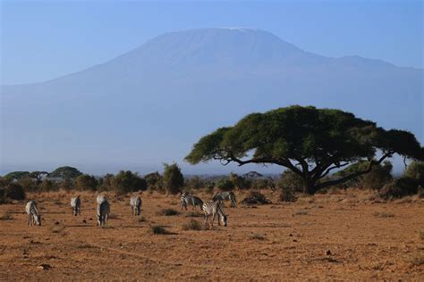 Tage Luxus Safari Im Amboseli Park Und Hei Luftballon Fahrt