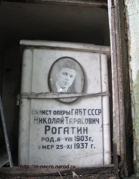 Они тоже гостили на земле... Рогатин Николай Тарасович (1903-1937)