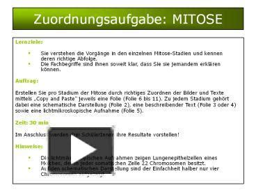 Ppt Zuordnungsaufgabe Mitose Powerpoint Presentation Free To