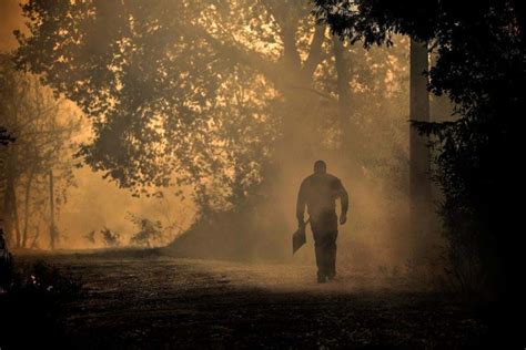 Populares e bombeiros combatem chamas em Oliveira de Azeméis