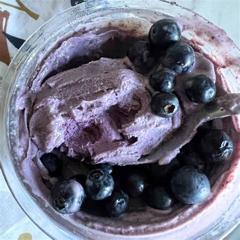 Ninja Creami Blueberry Ice Cream Recipe Diaries