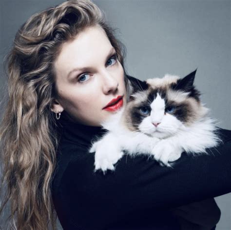 Taylor Swift with a Cat Named Benjamin Button - Images