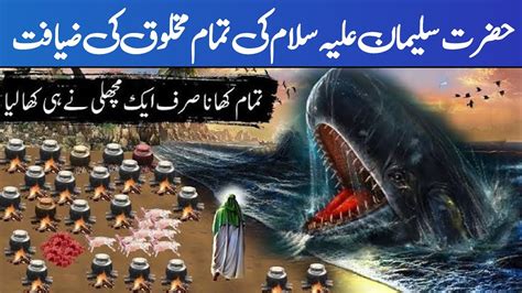 Hazrat Suleman Ka Waqia Islam Story Islamic Video YouTube