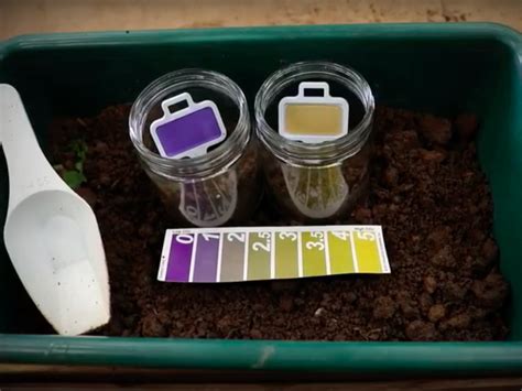 Soil Biology Page Soilmentor