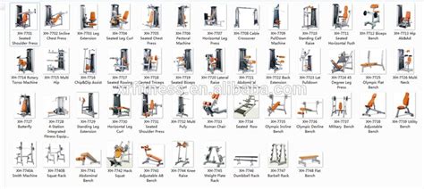 on Exercise | Gym equipment names, Workout machines, Gym workouts ...