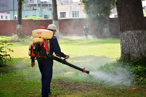 Graves síntomas del dengue y cuándo asistir con urgencia al médico