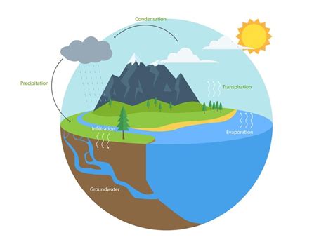 Premium Vector | Water cycle infographic hydrologic geography school scheme