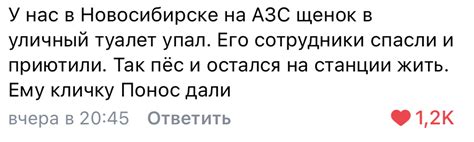 Нейминг | Пикабу