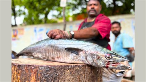 Kasimedu Selvam Vanjaram Fish Cutting Video Kasimedu Speed Selvam