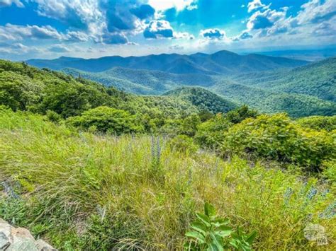 Planning A Visit To Shenandoah National Park