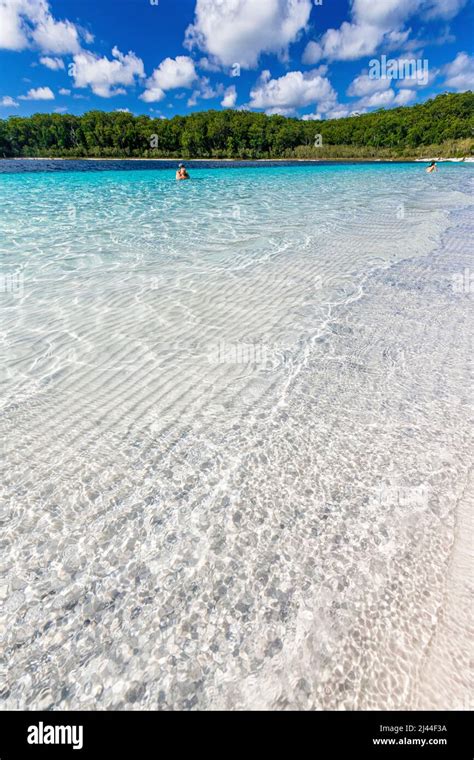 Tourists Relaxing In The Crystal Clear Water At Lake Mckenzie On Fraser