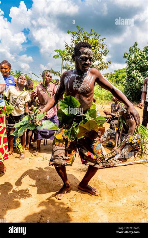 Pygmy Man Dancing Kisangani Congo Stock Photo Alamy