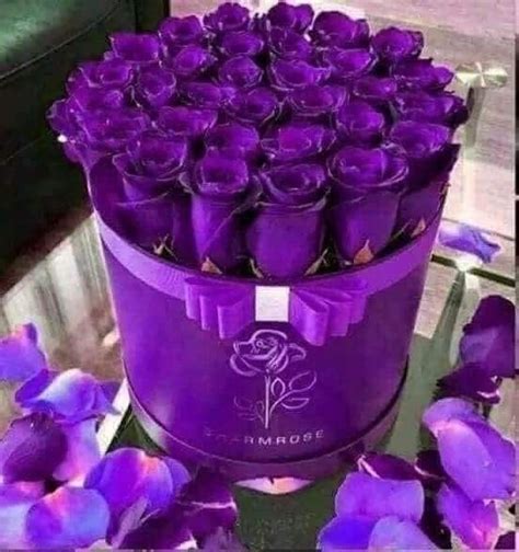 Pin on Роскошные букеты | Flower box gift, Happy flowers, Beautiful ...