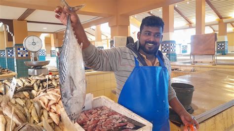 Fish Market Fahaheel Kuwait I Al Koute I Fahaheel Youtube