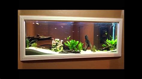 How To Put An Aquarium In The Wall Aquarium Views