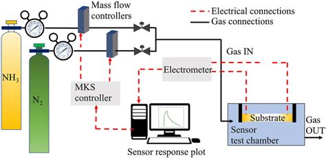 Ammonia Gas Test